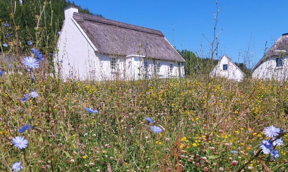 Corofin Lake Cottages Kültér fotó