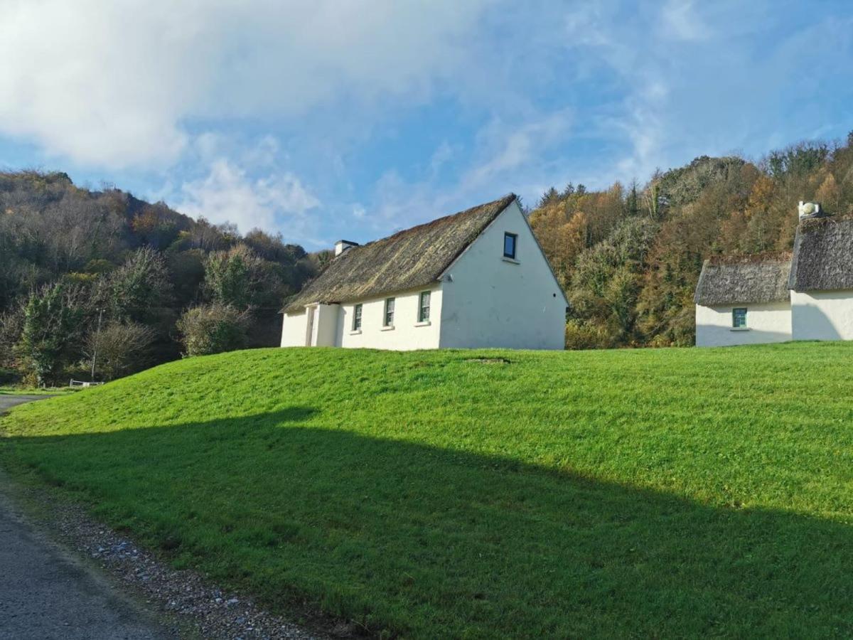 Corofin Lake Cottages Kültér fotó